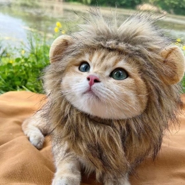 Cute Lion Mane Cat Wig Hat Funny Pets Clothes Cap Fancy Party Dogs Cosplay Costume Kitten 